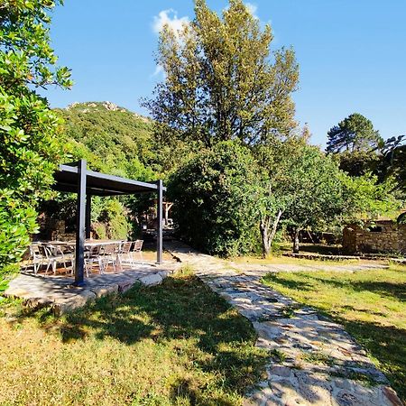 Résidence A CASA VECCHIA gites de charme avec JACUZZI proche Ajaccio Peri Esterno foto