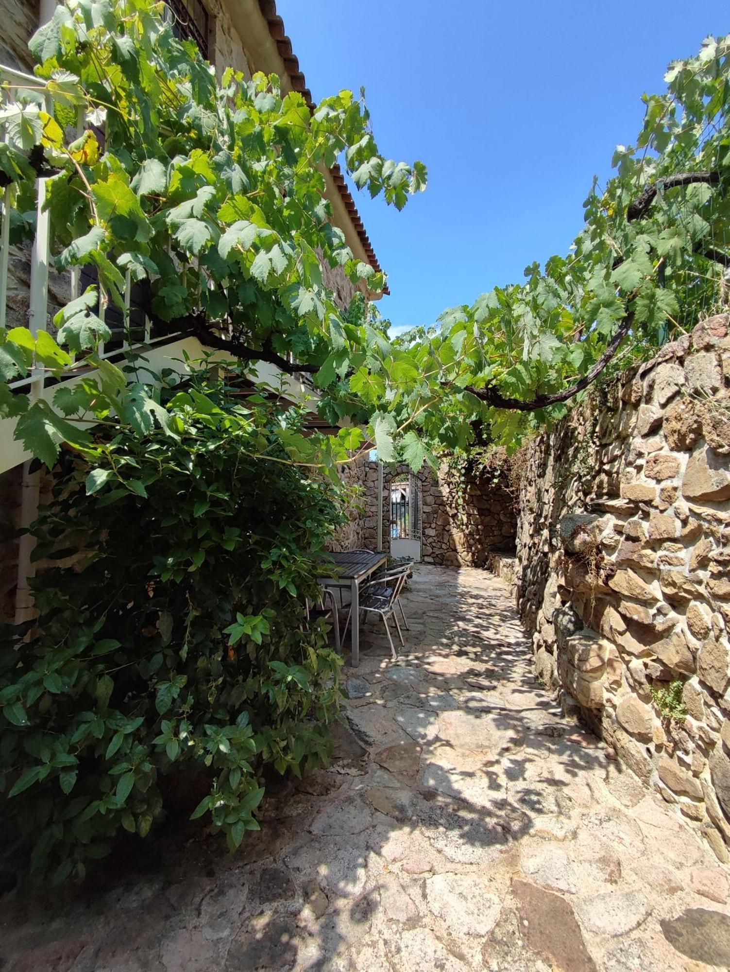 Résidence A CASA VECCHIA gites de charme avec JACUZZI proche Ajaccio Peri Esterno foto
