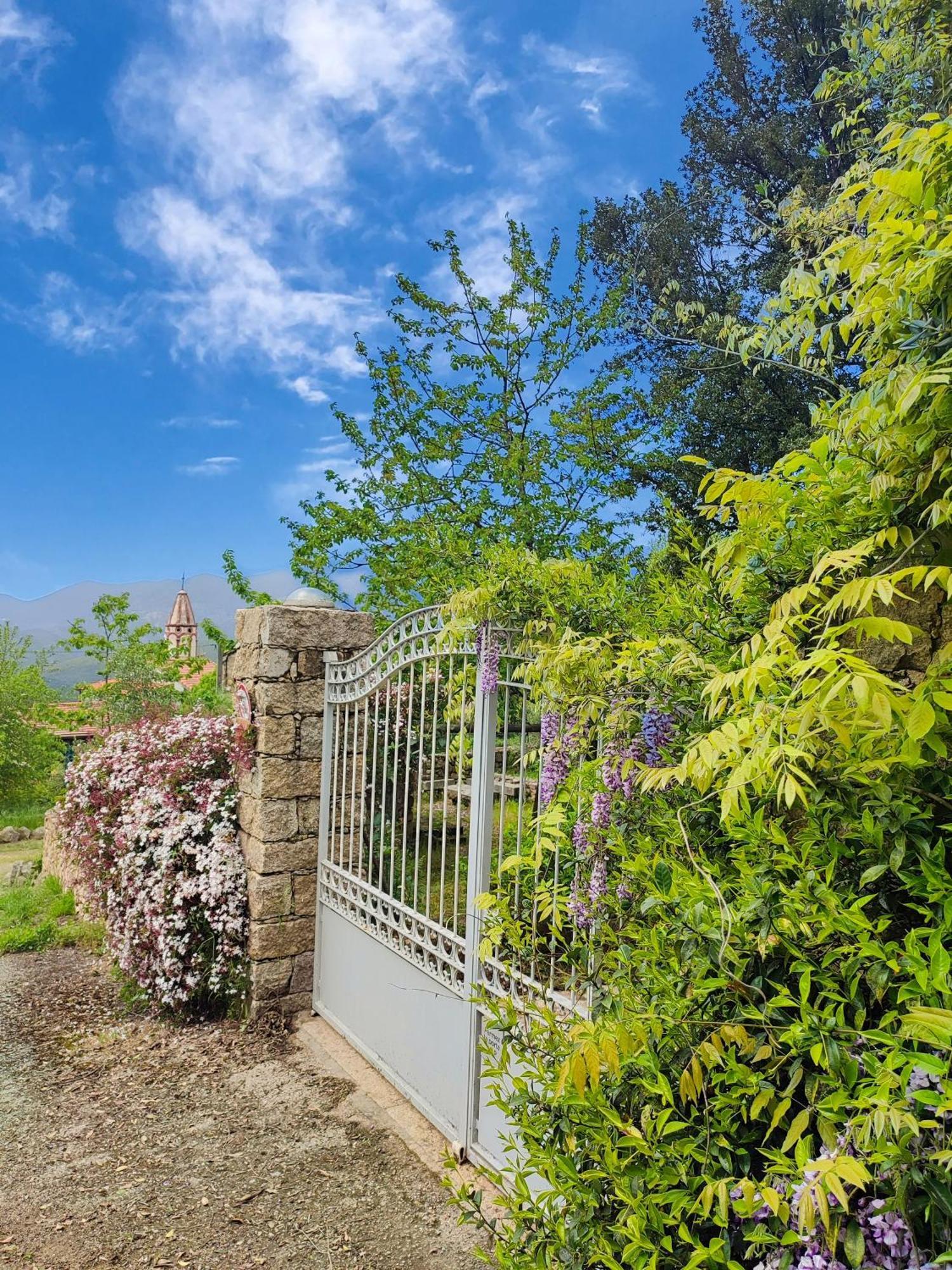 Résidence A CASA VECCHIA gites de charme avec JACUZZI proche Ajaccio Peri Esterno foto